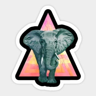 Colorful Elephant Sticker